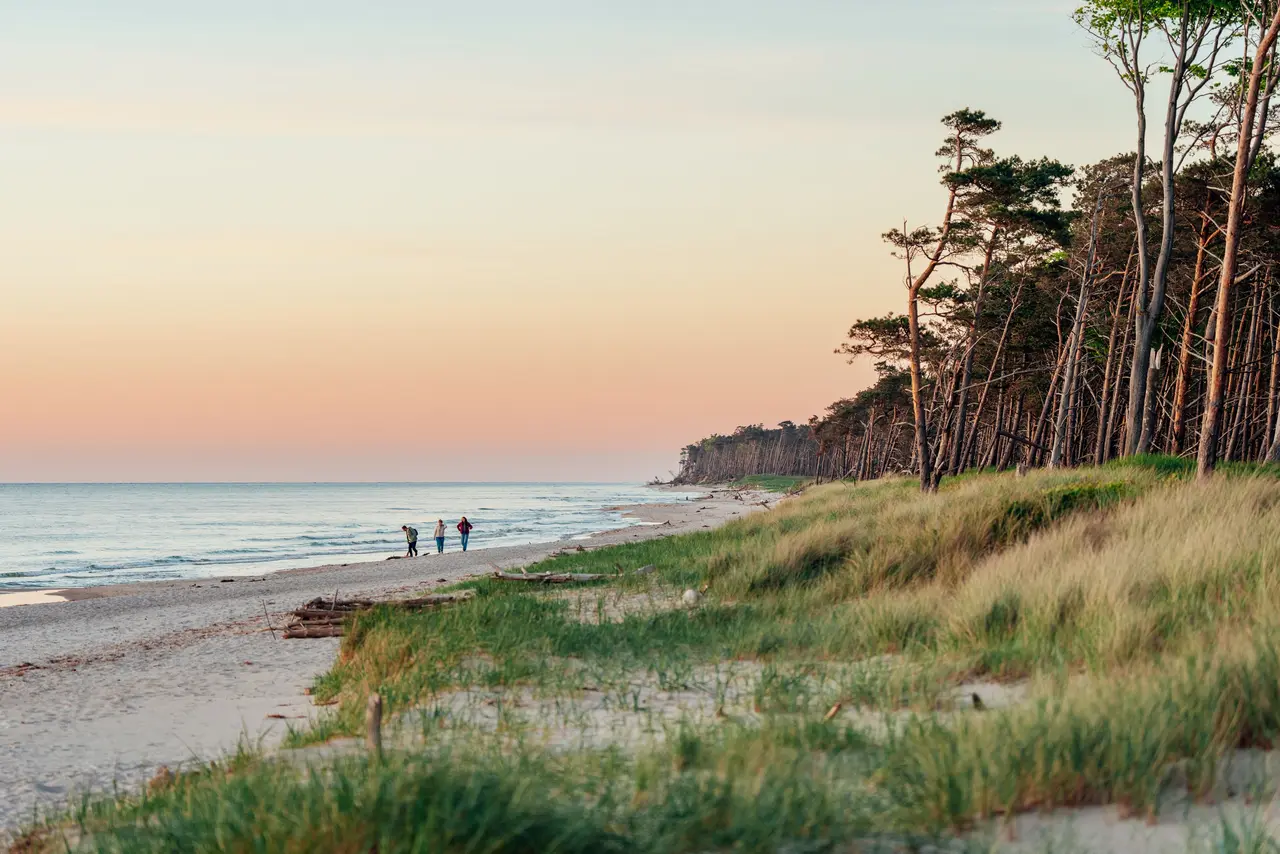Spazieren und entspannen zum Sonnenuntergang am Weststrand auf dem Darß